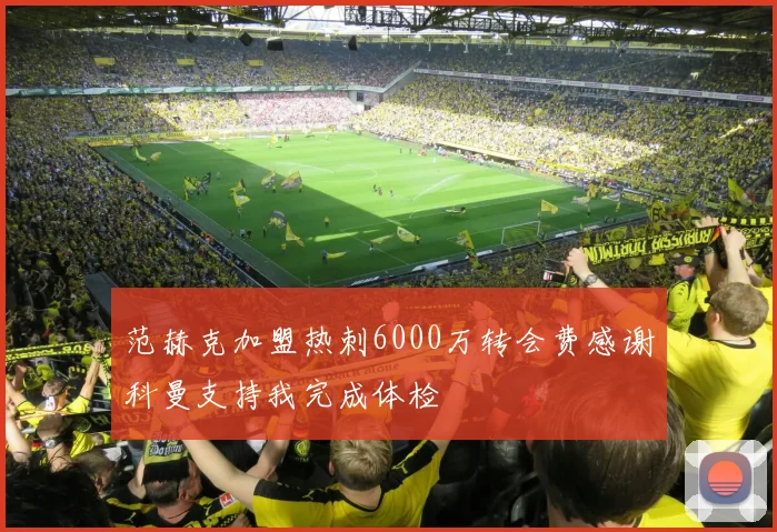 范赫克加盟热刺6000万转会费感谢科曼支持我完成体检