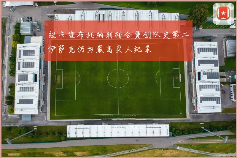 纽卡宣布托纳利转会费创队史第二伊萨克仍为最高卖人纪录