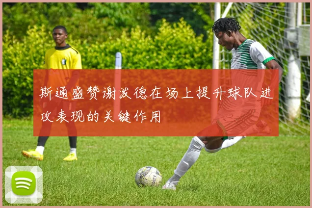 斯通盛赞谢泼德在场上提升球队进攻表现的关键作用